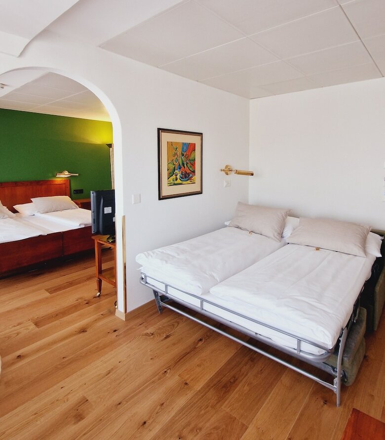 Hotel Engimatt