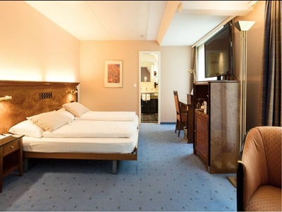 Hotel Engimatt