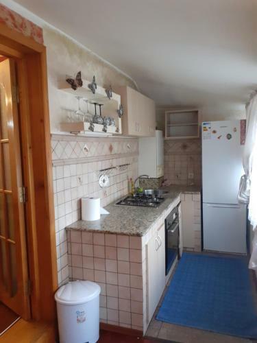 Apartament Central