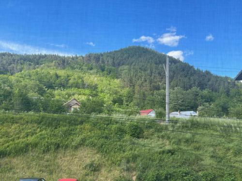 Apartament Bella