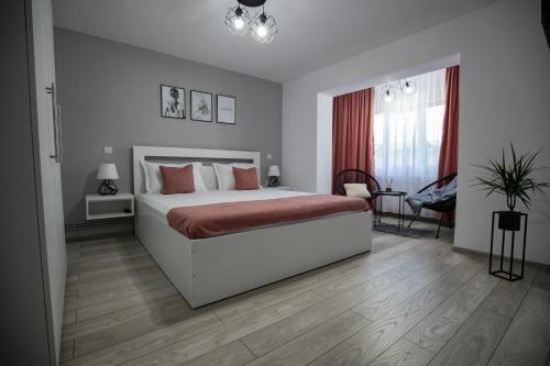 Apartament Serban