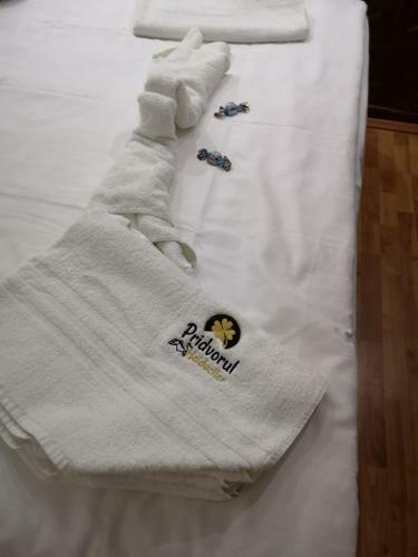 Hotel Pridvorul Haiducilor