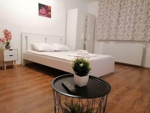 Apartamento Garsoniera Anca