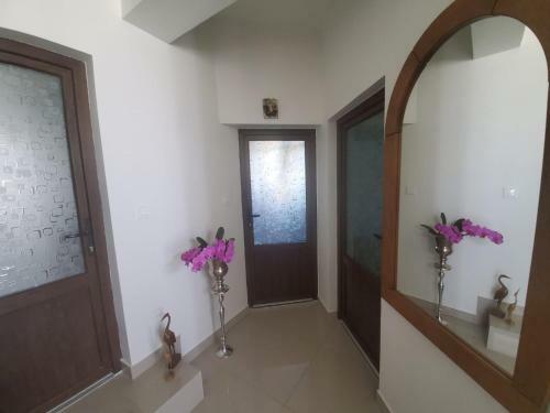 Hostal Pensiunea Mihaita