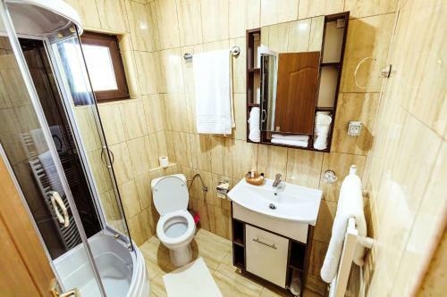 Hotel Pensiunea Iris