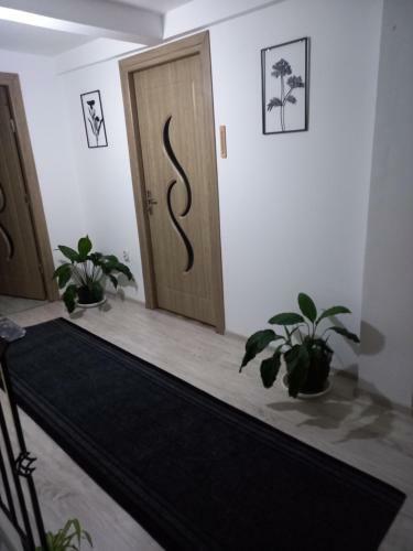 Casa Sandu