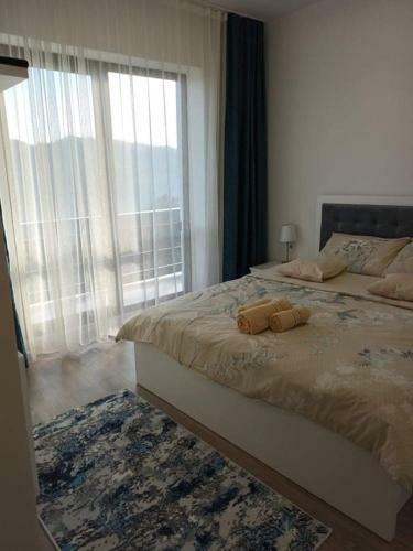 Hostal Pensiunea Agroturistica Acvila Apusenilor