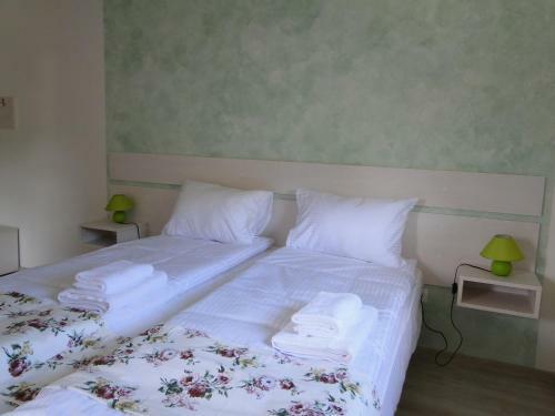 Hostal Dorf Haus Valiug