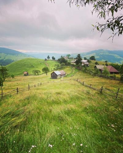 Hostal Casa Agroturistica Tarancuta Din Vatra Moldovitei