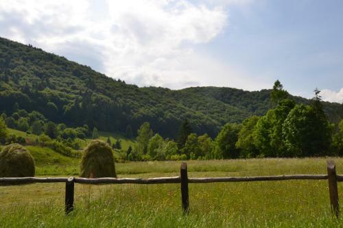 Agroturismo Gospodaria Lui Nea Ion