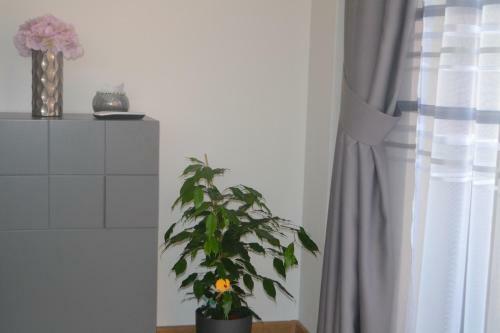 Cosy Apartment II