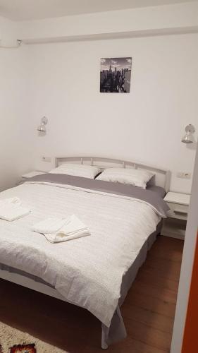 Apartament 2 Budiu