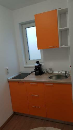 Apartament 2 Budiu