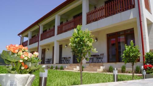Hostal Casa Baran Vama Veche