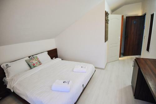 Hostal Vila Medusa