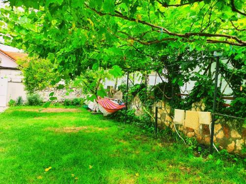 Hostal Casa Razvan Vama Veche