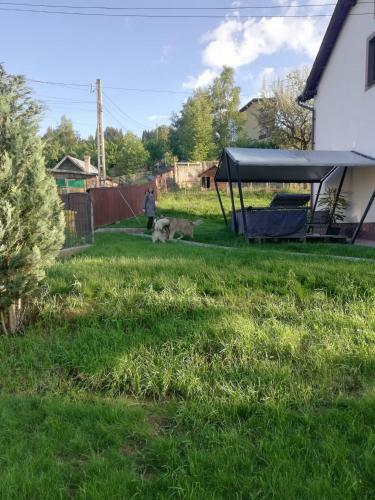 Hostal Apartamentul Ghioceilor