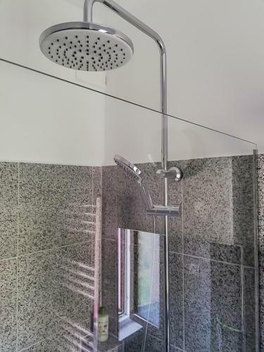 Hostal Apartamentul Ghioceilor