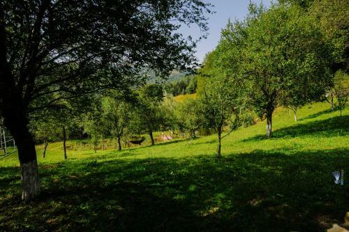 Lodge Casa Nomentana
