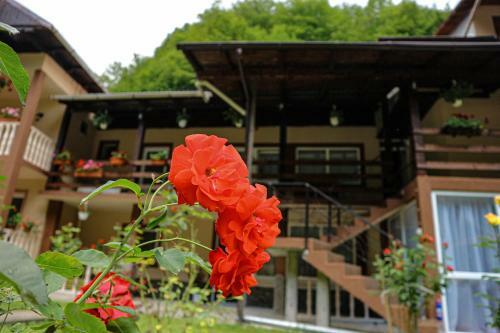 Agroturismo Casa La Danut