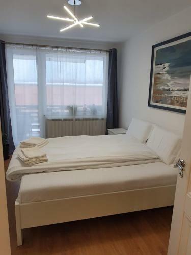 Apartament Luxury