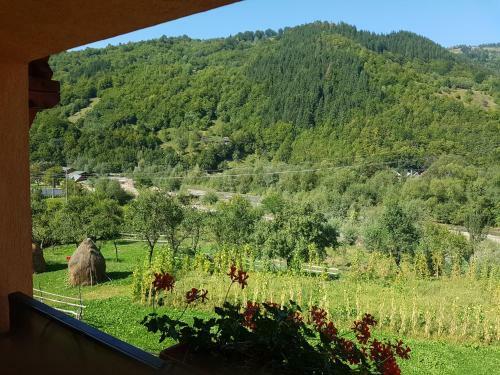 Hostal Casa Ile