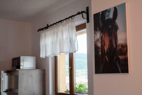 Hostal Zet House