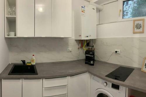 Cozy Studio Apartament Zalau