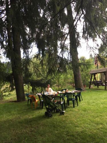 Charming Chalet Timisul De Sus