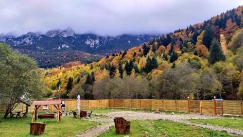 Aroa Mountain