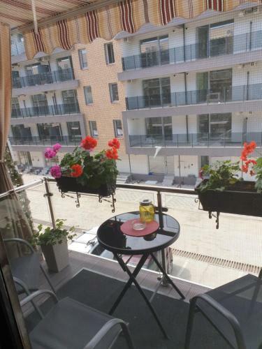 Apartament Razvan