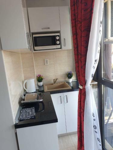 Apartament Alina