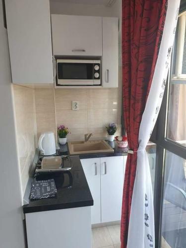 Apartament Alina