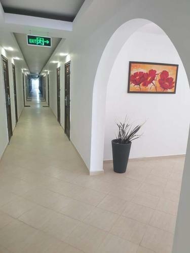 Apartament Alina