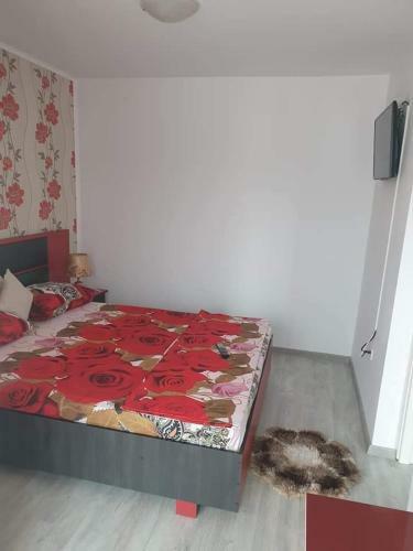 Apartament Alina