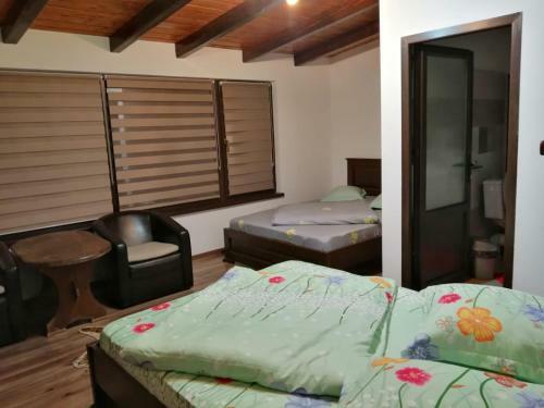 Hostal Casa de Vacanta Ioana