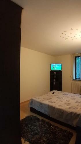 Apartament Olimp