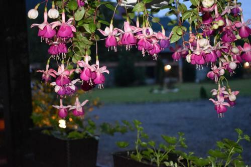 Lodge Clematis House