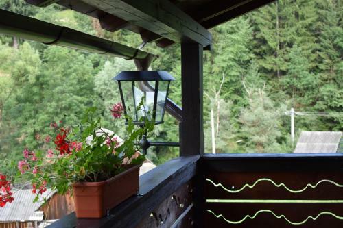 Lodge Clematis House