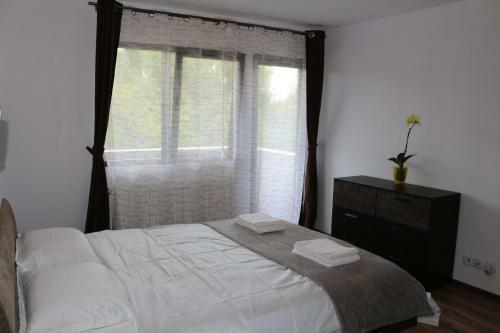 Timisoara City Apartments