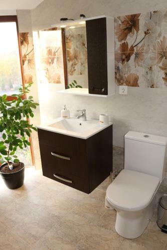 Timisoara City Apartments