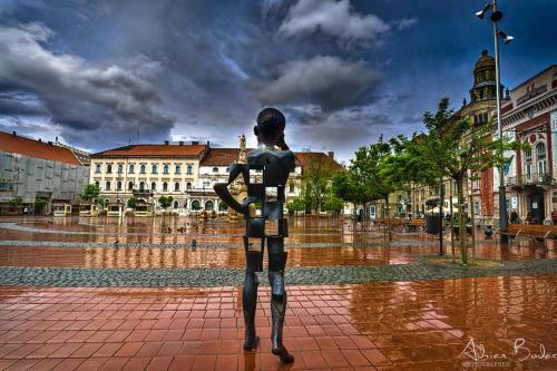 Take Timisoara Apartment