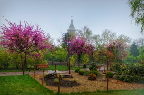Take Timisoara Apartment