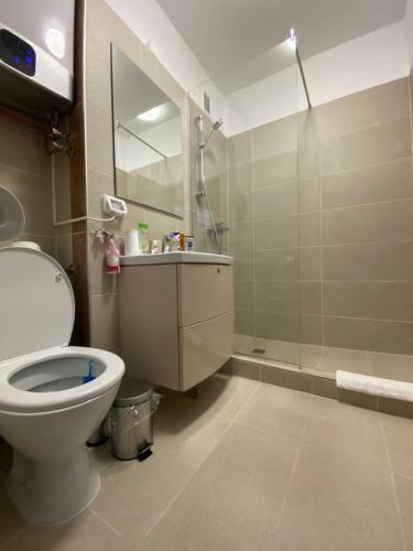 Take Timisoara Apartment