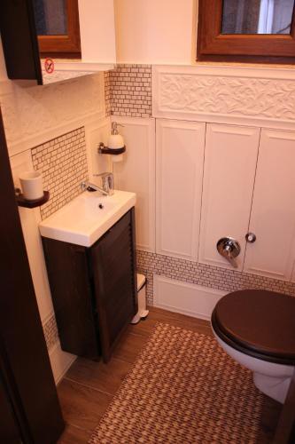Ella Apartment Timisoara No11