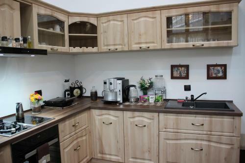 Ella Apartment Timisoara No9