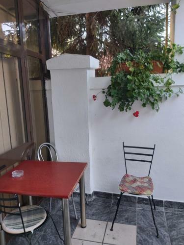 Hostal Rezidenta La Luna