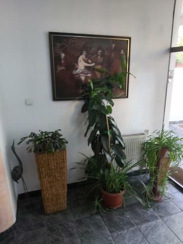 Hostal Rezidenta La Luna