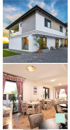 Hostal Wings Gasthaus