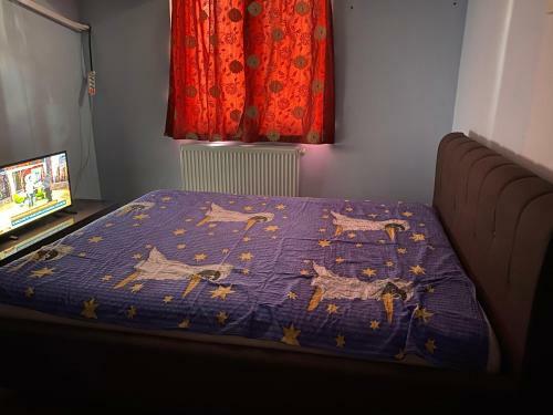 Apartament Modern